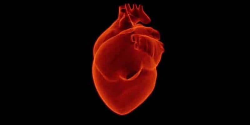 heart-1767552_640 Infarto del miocardio